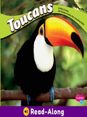 cover image of Toucans